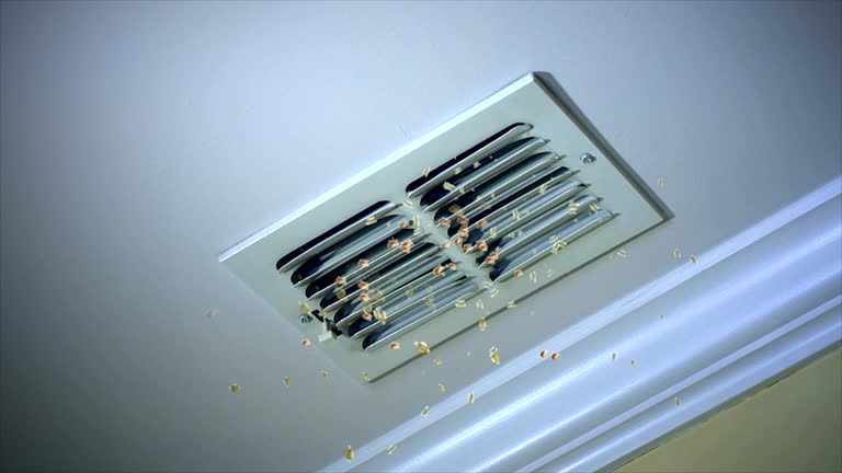 Best Ductwork Cleaning Services  in Andrews, TX